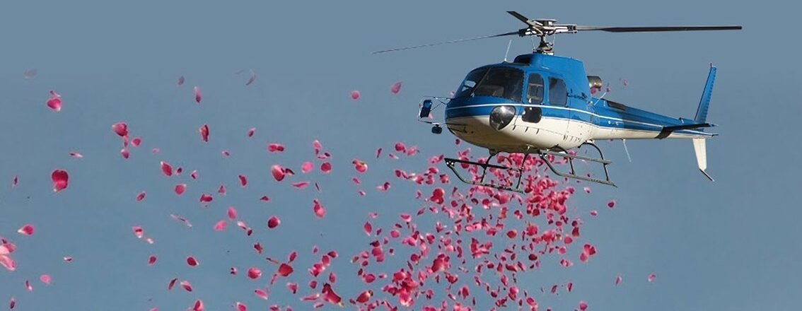 Service Banner - Olympus jet