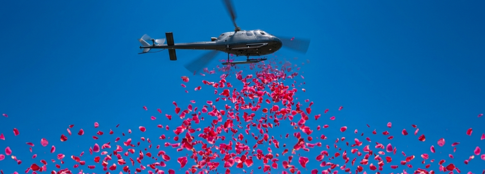 Helicopter flower-dropping services for Tamil Nadu election rallies and victory celebrations with fully permitted operations, experienced crew and complete logistics support.